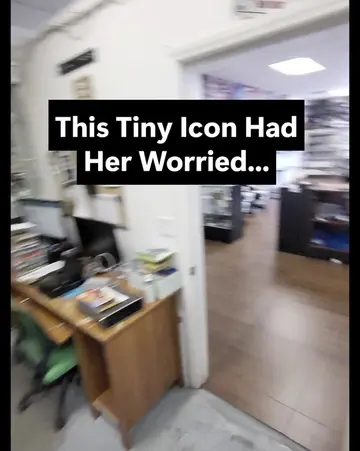 A customer brought in her laptop because a strange icon suddenly appeared on the