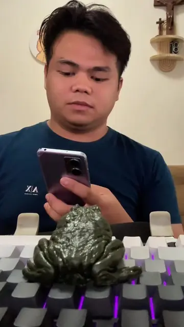 Scripted Prank 😂🐸 #frog #crazyfrog #prank #toy 