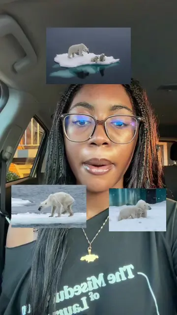 What can YOU do to make change? - #enviorment #chatgpt #ecogpt #pollution #ai 