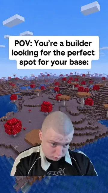 #Minecraft #meme #base  #gaming #fypシ 