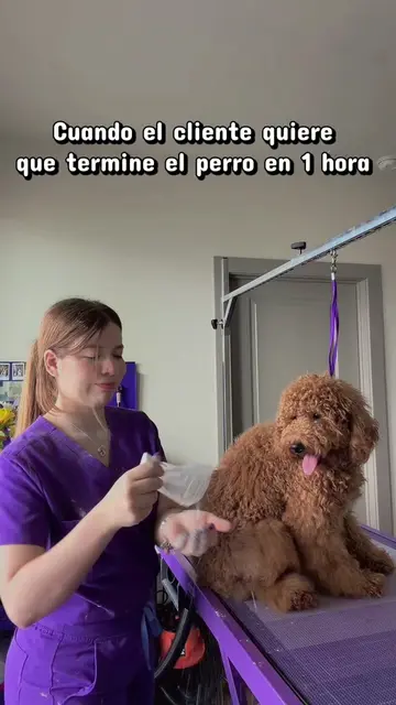 HUMOR 🤣🤣🤣 les juro que no sabia que usar y terminé usando bicarbonato.. no lo