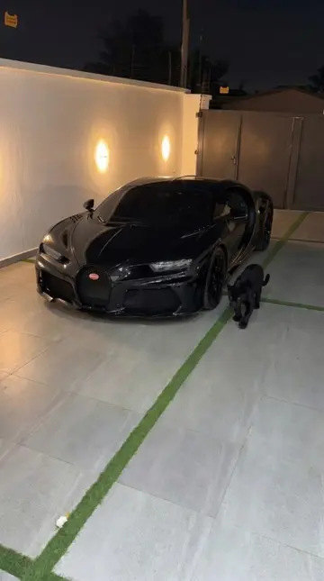 #pourtoi #motivation #bugatti #success #jaguar 