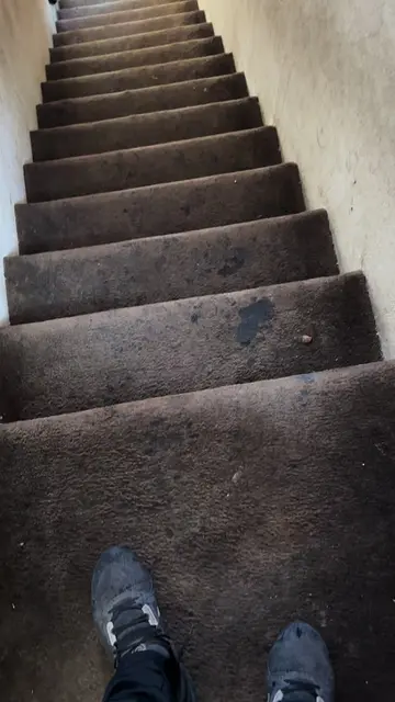 Part 1‼️ Cleaning The Worst Carpets In The Hood In Arizona‼️🤮 Regenerate works 