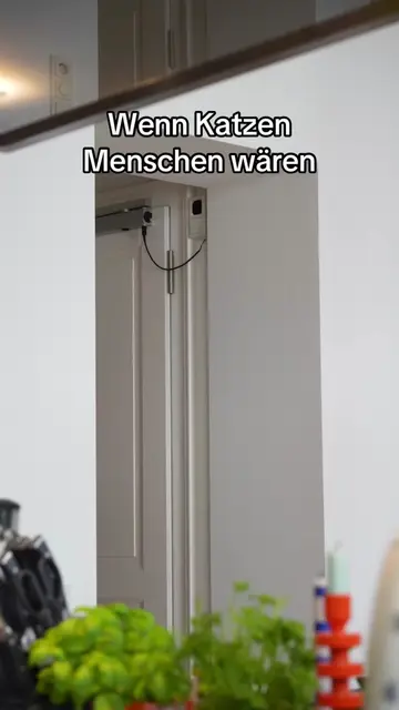 So nicht!!🐈 #katzen #katzenmemes #catsbeingcats #lol #parodie 