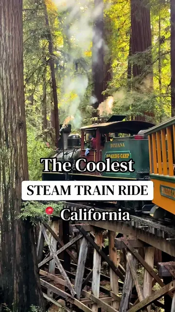 This is your official sign to book tickets for Roaring Camp Railroads! 🚂 Riding