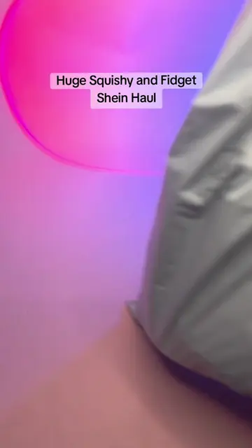 Do you think I was hungry when I put in this order?!  #shein #squishy #sheinhaul