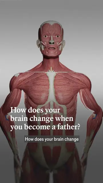It’s not just mums who experience so-called “baby brain”, fathers’ brains also c