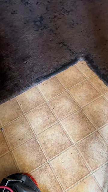 Part 2‼️ Cleaning The Worst Carpets In The Hood In Arizona‼️🤮🤮 Regenerate work