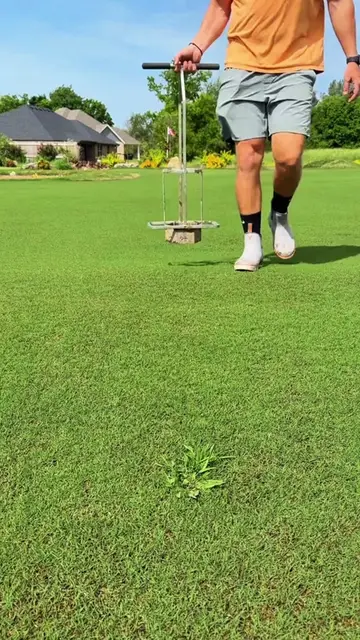 Must-Have Lawn Tools to Make Yard Work Super Easy✨#HomeGarden #LawnMaintenance#L