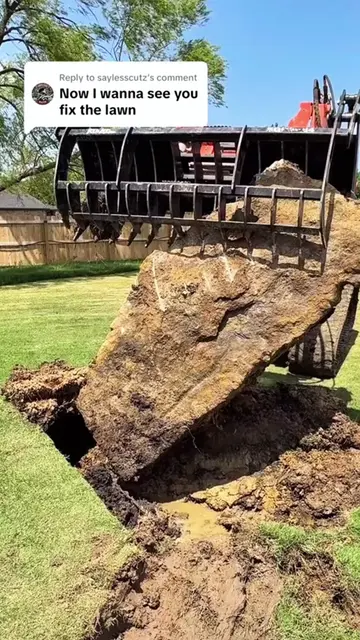 Must-Have Lawn Tools to Make Yard Work Super Easy✨#HomeGarden #LawnMaintenance#L