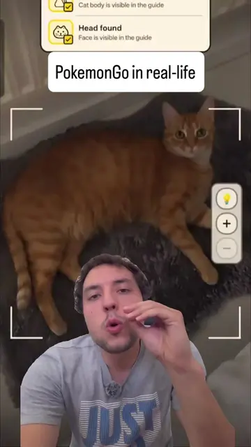 Qualcuno ha vibe codato Pokémon Go ma con i gatti veri.  Vedi un gatto per strad