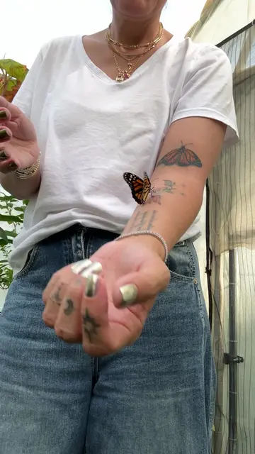 #tattoo #butterflytattoo #braceletstack #monarchbutterfly 