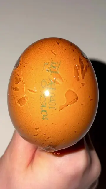 boiled egg squishy                                                              