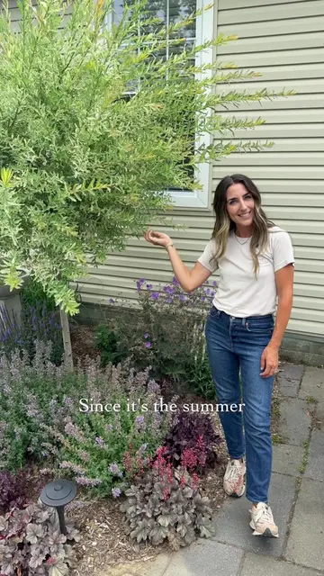 One giant butterfly bush or 25 plants? 🌿 This cozy 9' x 9' garden bed used to b