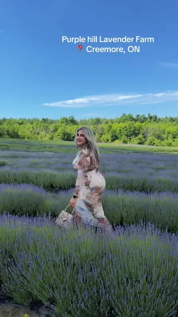 Endless fields of lavender 💜 . . . #lavender #field #thingstodo #explore 