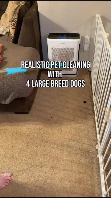 Have a PAWsome day😳🐾 #CleanTok #dogsofttiktok #dogmomlife #cleaningszn #cleanf