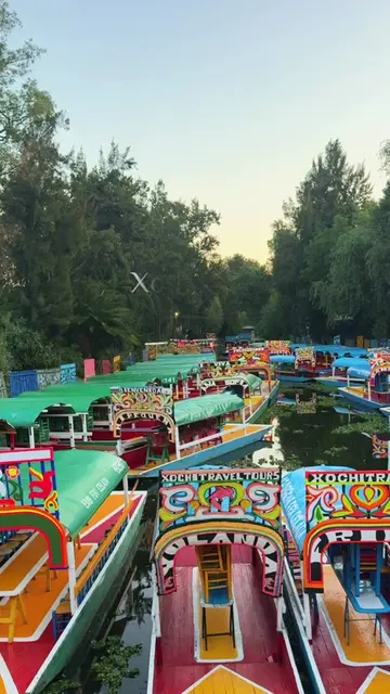 I loved getting to see this side of the Xochimilco. The slow morning with cool a