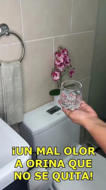 Si por más que lavas tu baño, el olor a orina no desaparece, este es el secreto 