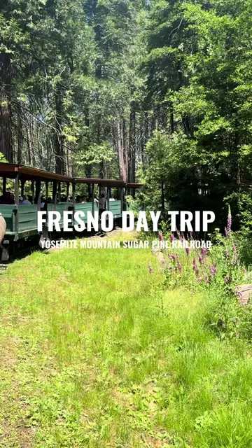 a sign to spend the day in nature 🐞🦋🐛🐌🪻🦨🪲🐿️ one of California’s cutest t