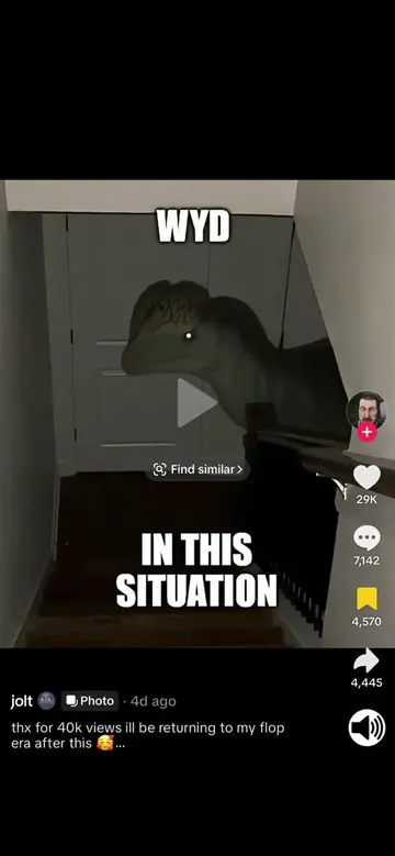 Wyd in this situation #dinosaur #wyd #tiktokmemes #voiceover #voiceacting 