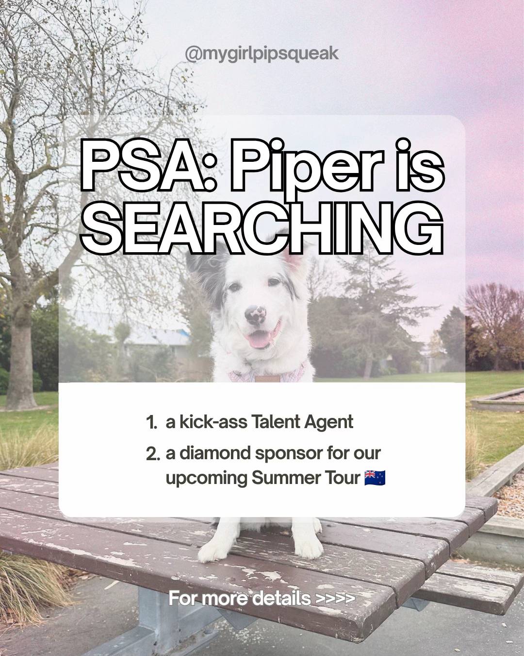 Piper and Dad 🙋🏻‍♂️🐶 One is dead-nervous to make this announcement, the other