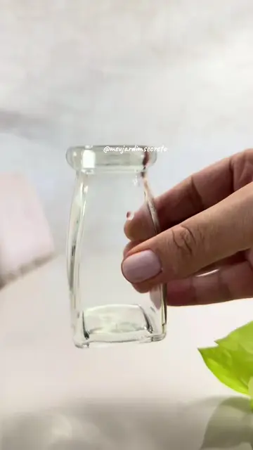 Existe uma beleza que não precisa de palavras. 🌿 Cultivar plantas é cultivar pa