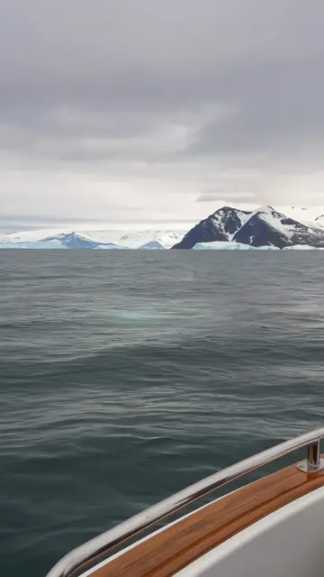 #alaska #whale #fishing 