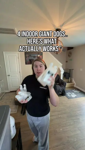 Hope you and your pups have a tailwaggin day! 💛🐾  #realistic #cleaningtips #do