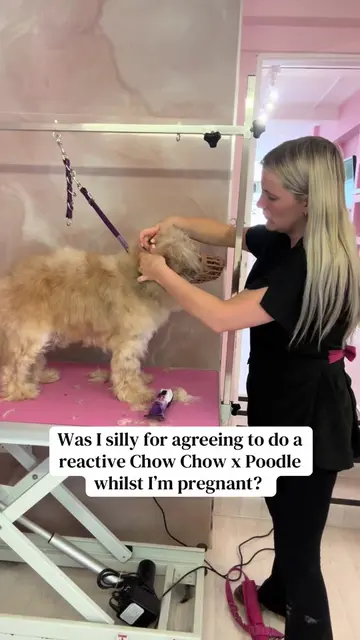 This dogs owner travelled 1.5 hours each way as they know that I specialise in g