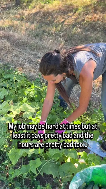 This is just how it goes on the farm we work constantly, we spend tons to plant 
