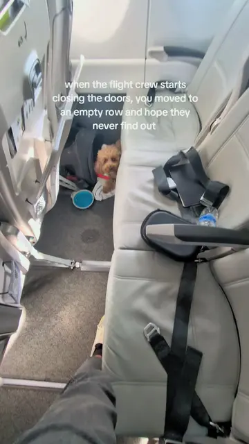 the doors closed. one empty row. we looked at each other. lex was already halfwa
