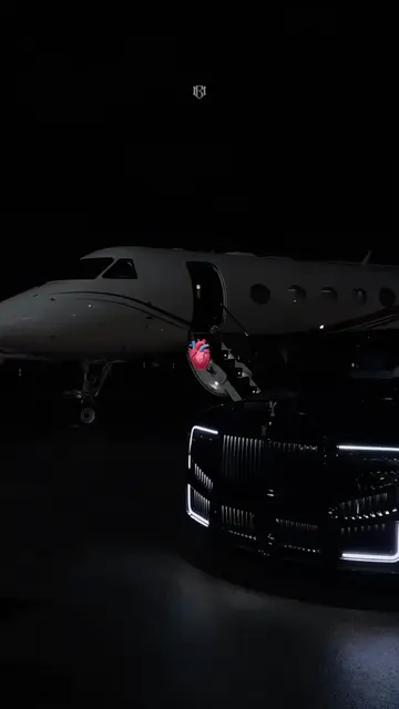 This Life 💫 #success #motivation #money #luxurylifestyle #wealthylifestyle 
