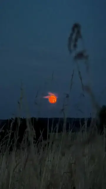 Strawberry Full Moon 2026 #strawberry #fullmoon #june #fy #viral