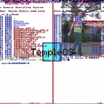 rip terry davis  #TempleOS #terrydavis  #programmer  #coding 