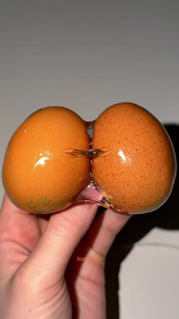 raw egg + egg mayo                                                              