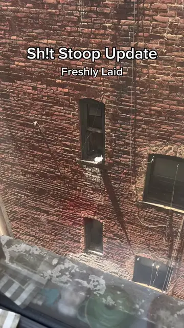 an egg is back on the ledge, and mom can’t stop herself from yodeling… life is g