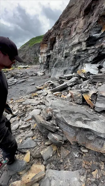 We went fossil hunting along a Jurassic Coast beach in search of hidden prehisto