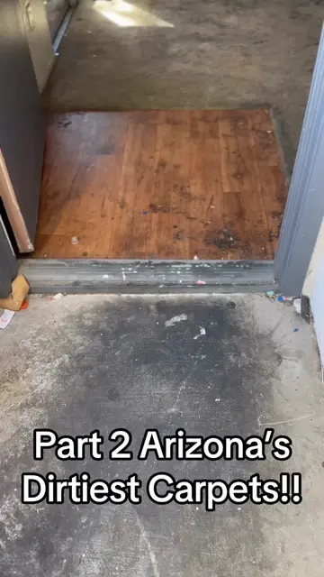Part 2 of Arizona’s Dirtiest Carpets‼️ WATCH US Transform These Carpets 😎 Regen