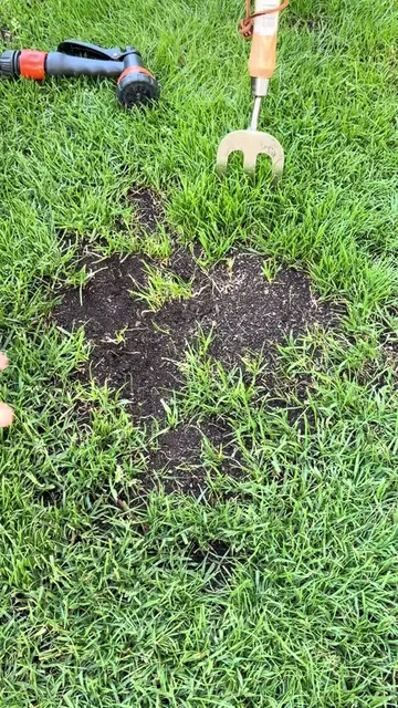 Repairing Bare Lawn Patch For Summer  Please do watch and listen along 👍  I’ve 