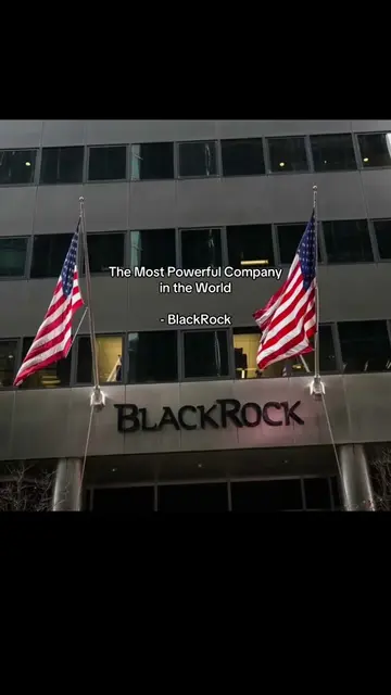 #fyp #xyzbca #aesthetic #capitalism #blackrock 