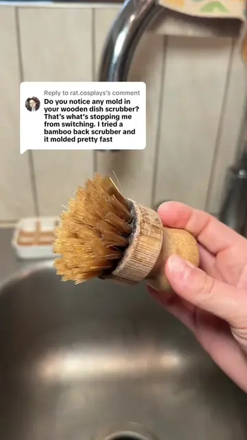 Replying to @rat.cosplays how to prevent mold on bamboo and wood dish brushes  T