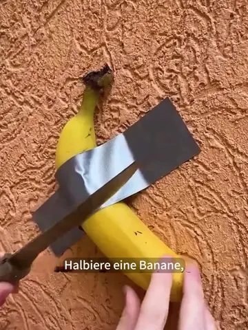 Zero-Cost Garten-Hacks: Pflanzen aus Küchenresten selbst ziehen #GartenHacks #Kü