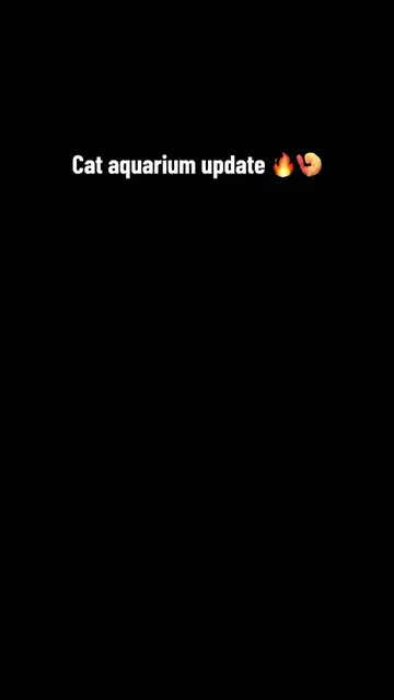 Cat Aquarium update✨🔥🦐  Im so sorry l know its been a while and people wanted 