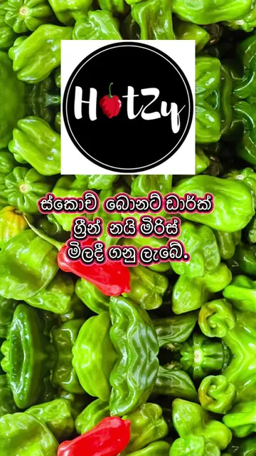 ස්කොච්  බොනට් ඩාර්ක් ග්‍රීන් නයි මිරිස් මිලදී ගනු ලැබේ. #scocthbonnet #hotzy 