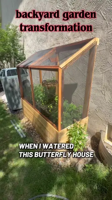 #creatorsearchinsights #backyardgarden I was almost certain that my butterfly ho