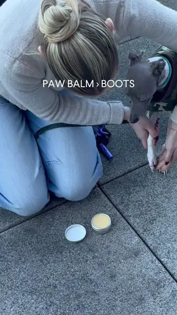 Just a little reminder to make sure your pups paws are protected and moisturized