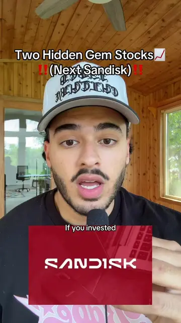 These are lowkey insanely niche stocks #stockstobuy #stockmarket #investingforbe