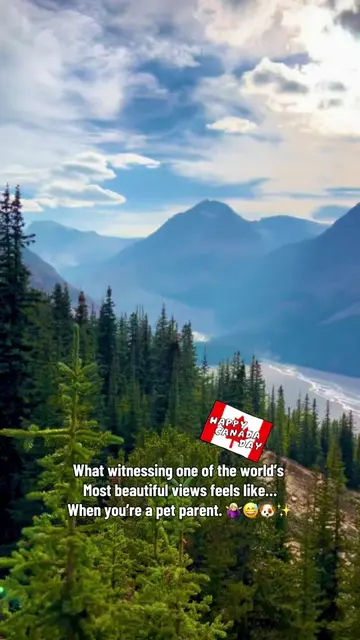 If you know, you know. 😂🐶❤️ Happy Canada Day to all my fellow Canadians! 🍁🇨�