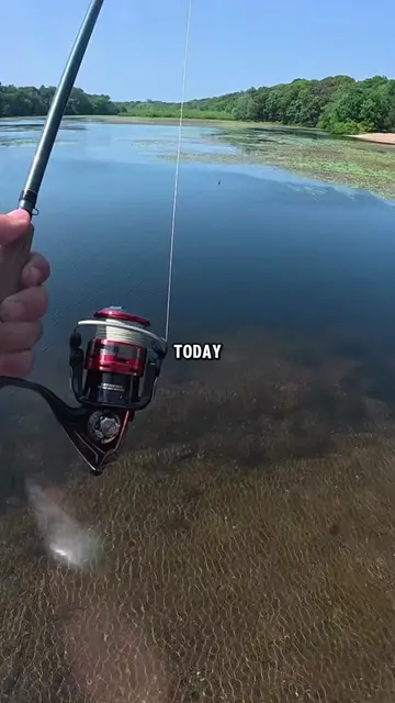 There is some debate that there are smaller hooks but it all depends on how you 