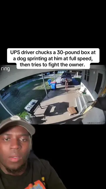#upsdriver #ups #dog #fyp 